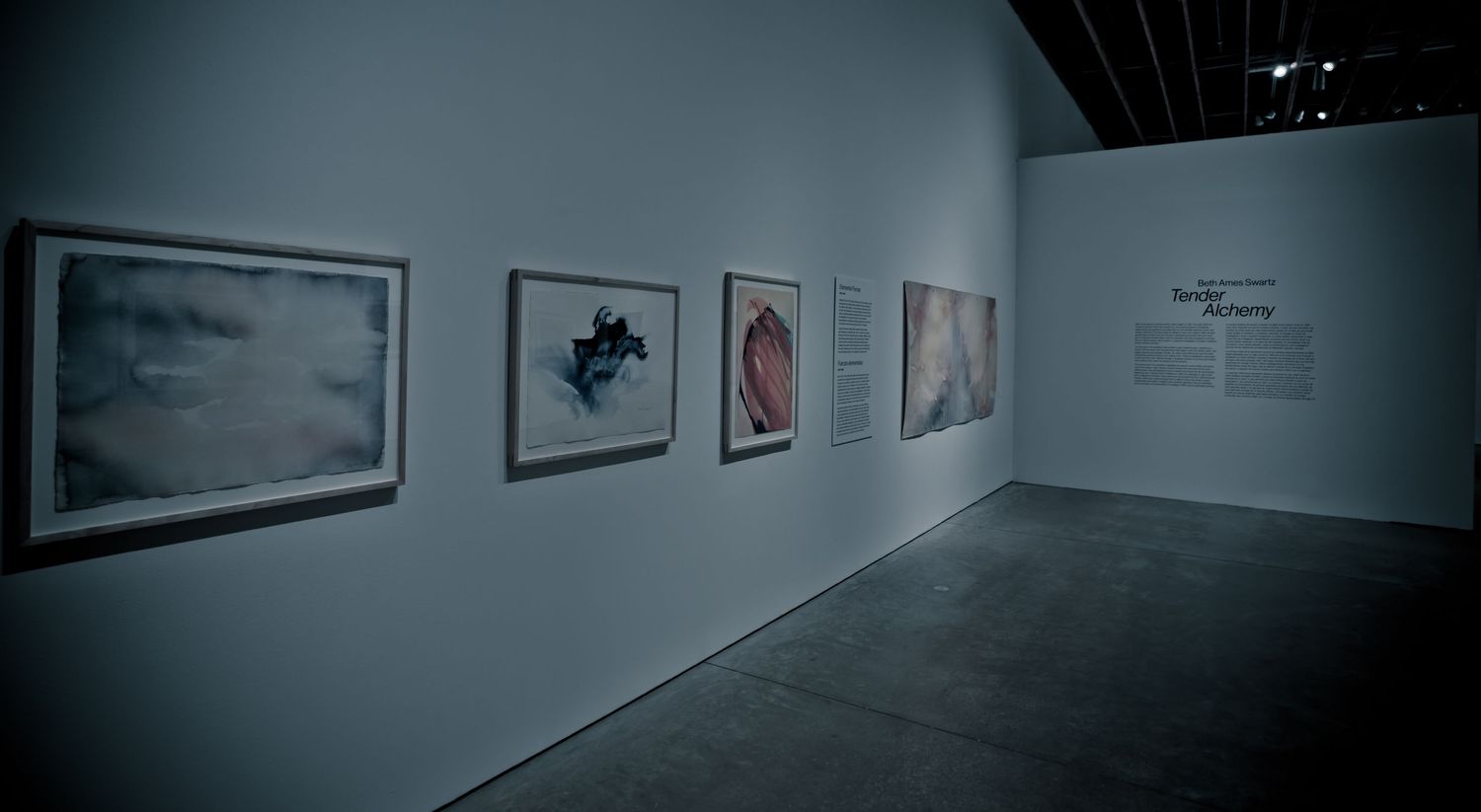 Art gallery interior featuring four framed photographs displayed on a white wall in a dimly lit exhibition space.