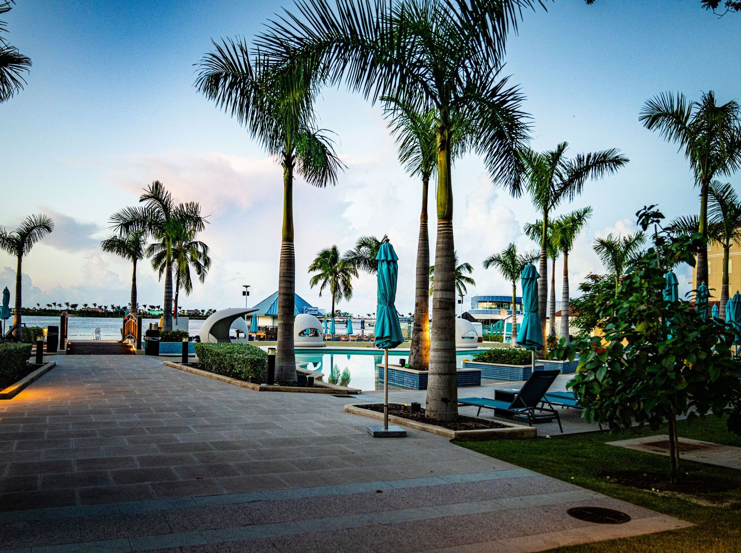 Tropical resort pool area with tall palm trees, lounge chairs, and waterfront views at dusk.