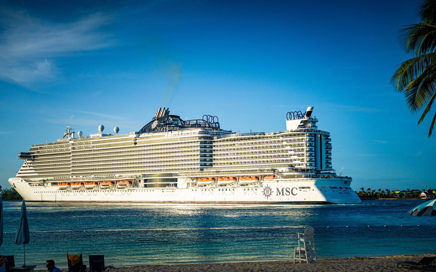 Large MSC cruise ship docked near a tropical shore with palm trees under a clear blue sky.