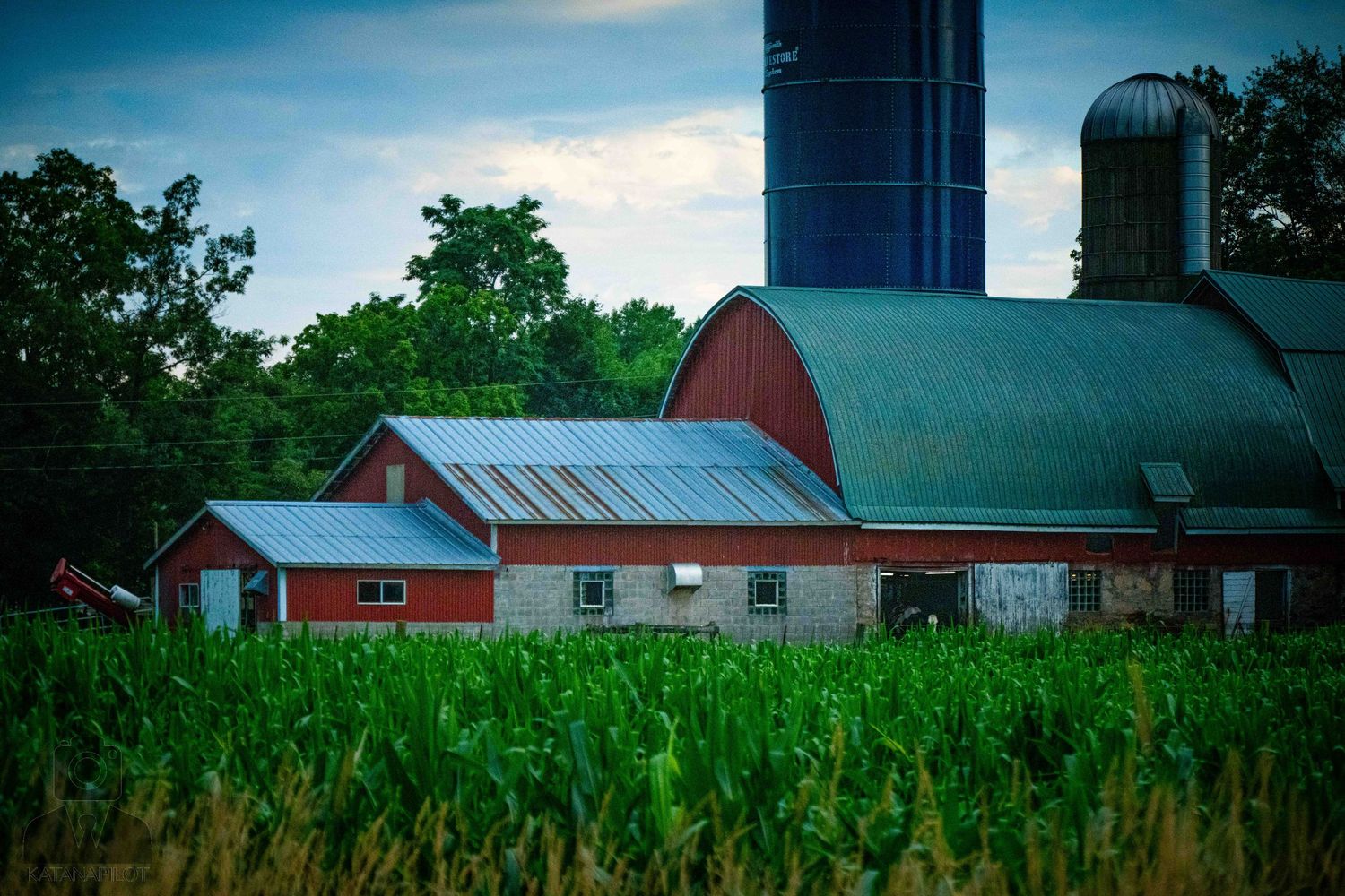 Red barns and farm buildings with silos under a blue summer sky.