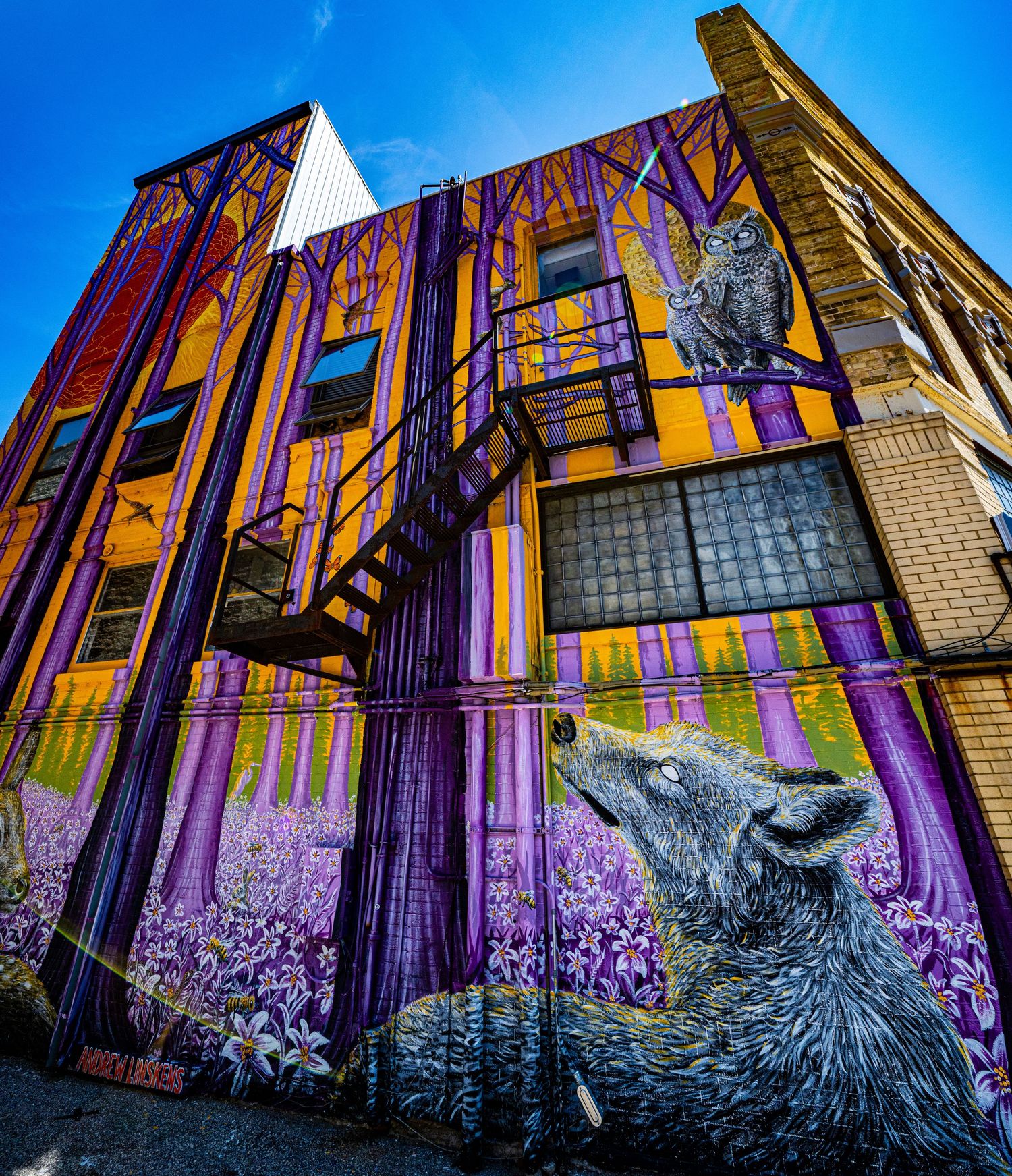 Vibrant street art mural featuring a wolf and purple forest scene on the side of an urban building.