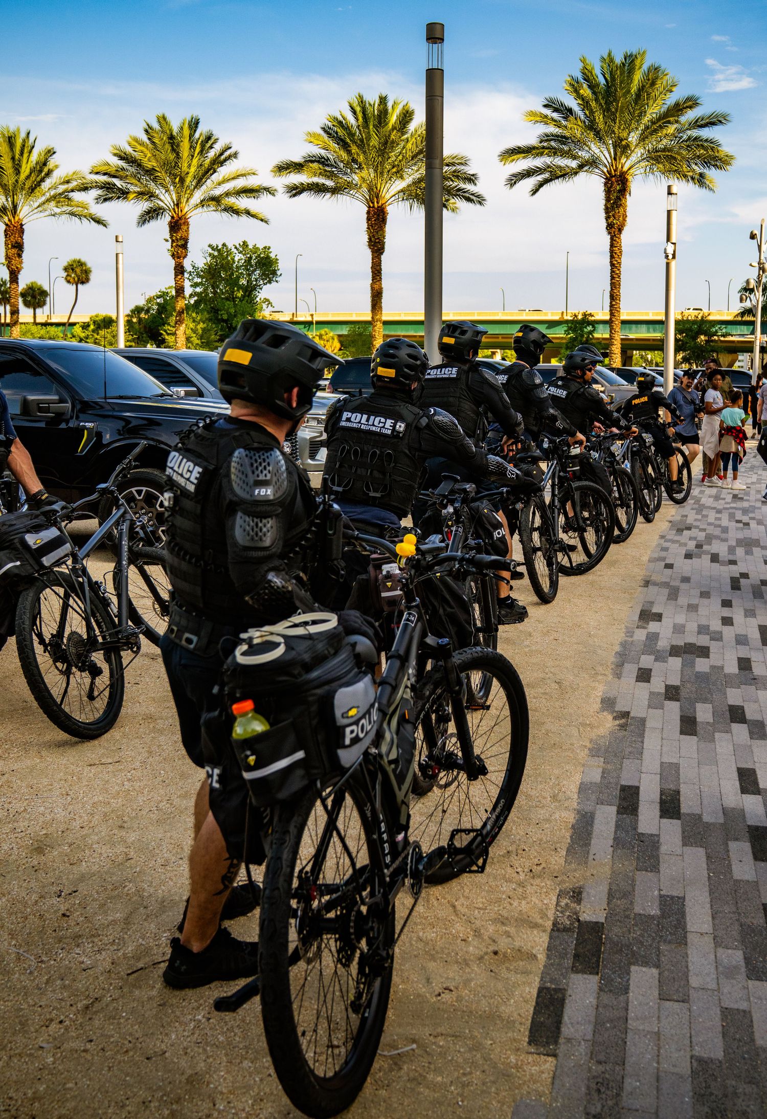 Row of police officers on bicycles lined up along a palm tree-lined street.