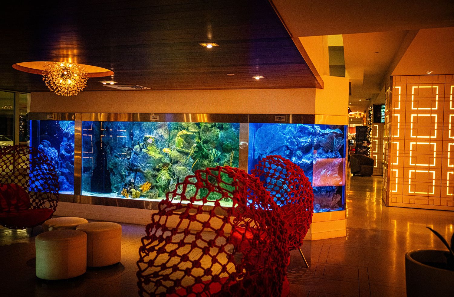 Panoramic view of a modern restaurant interior with colorful ambient lighting and sleek architectural design.