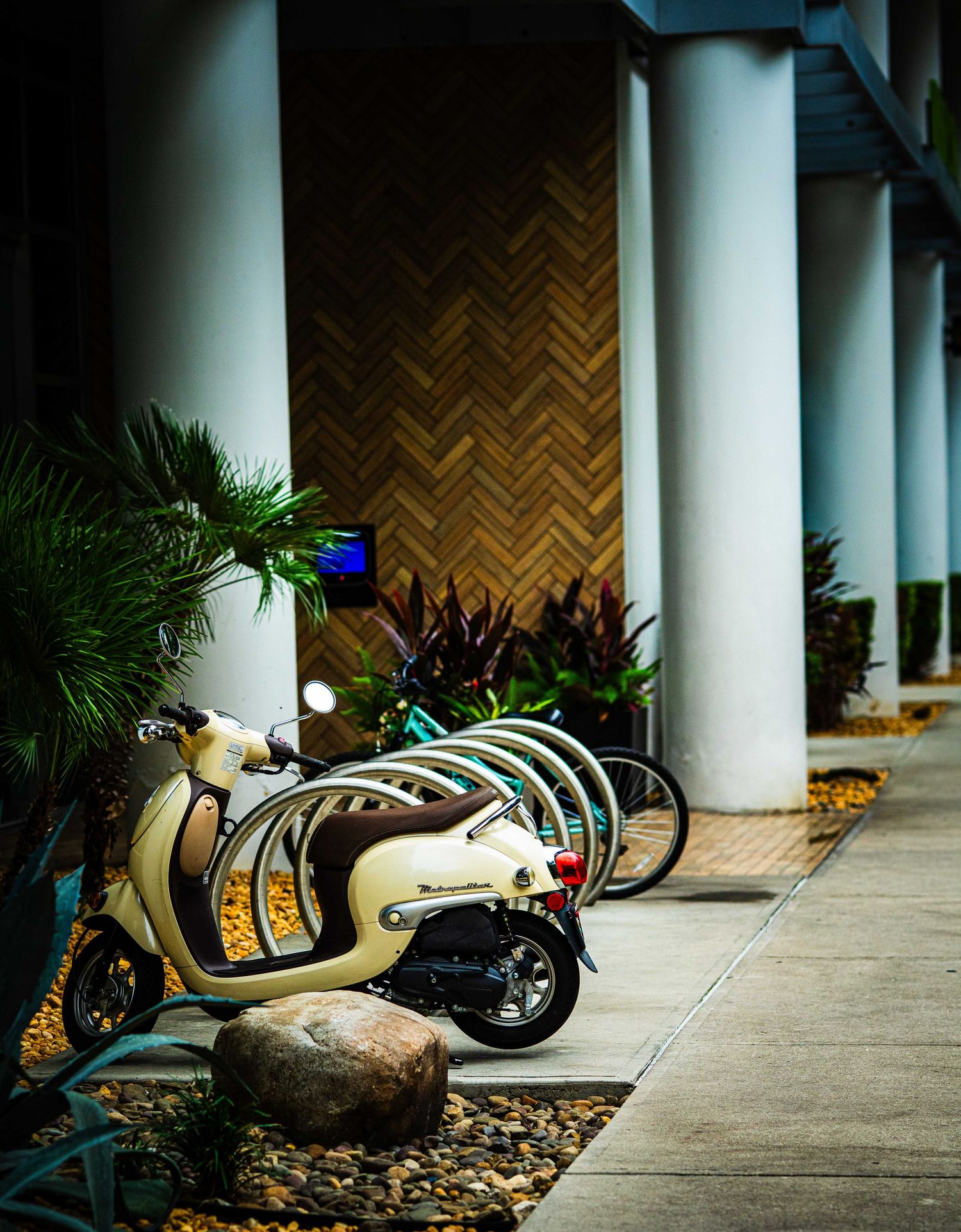 Vintage cream scooter parked beside lush tropical plants and white columns outside a modern building.