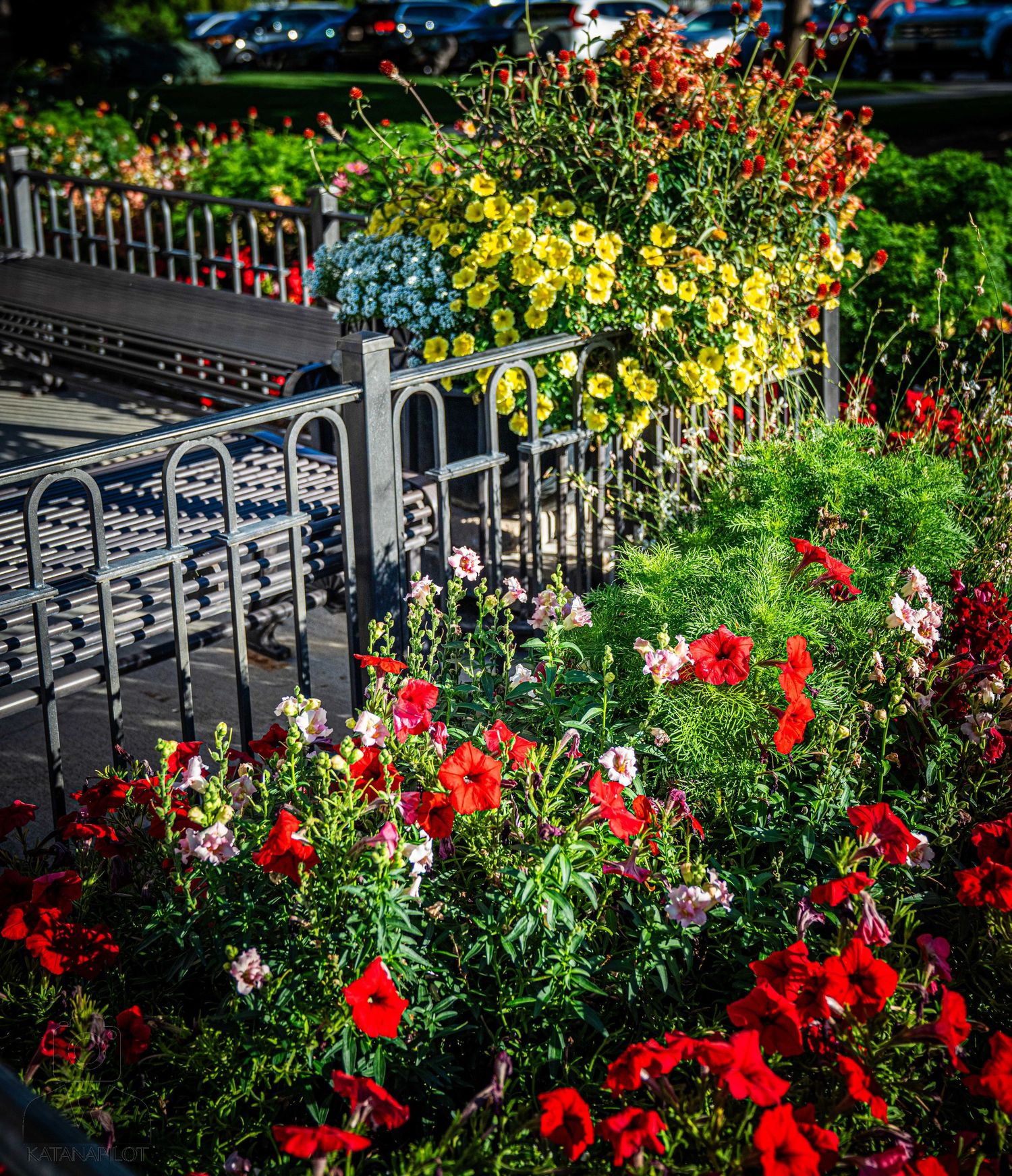 Colorful garden display with red, yellow and blue flowers along metal railing.