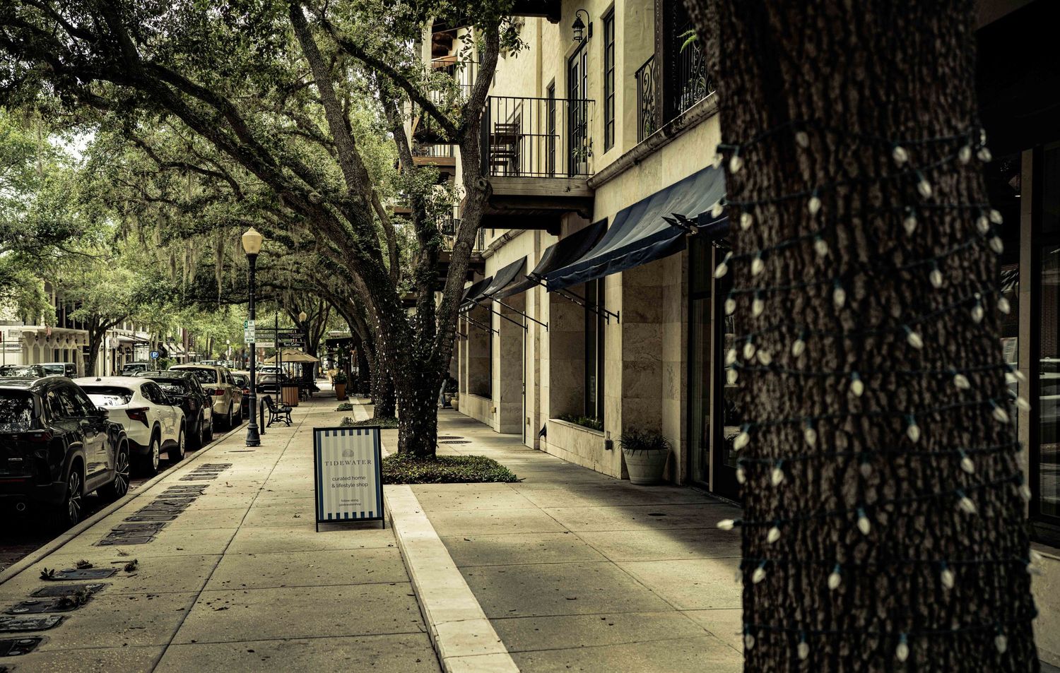 Tree-lined urban sidewalk with parked cars, historic building facades, and blue awnings in a charming Southern city street scene.