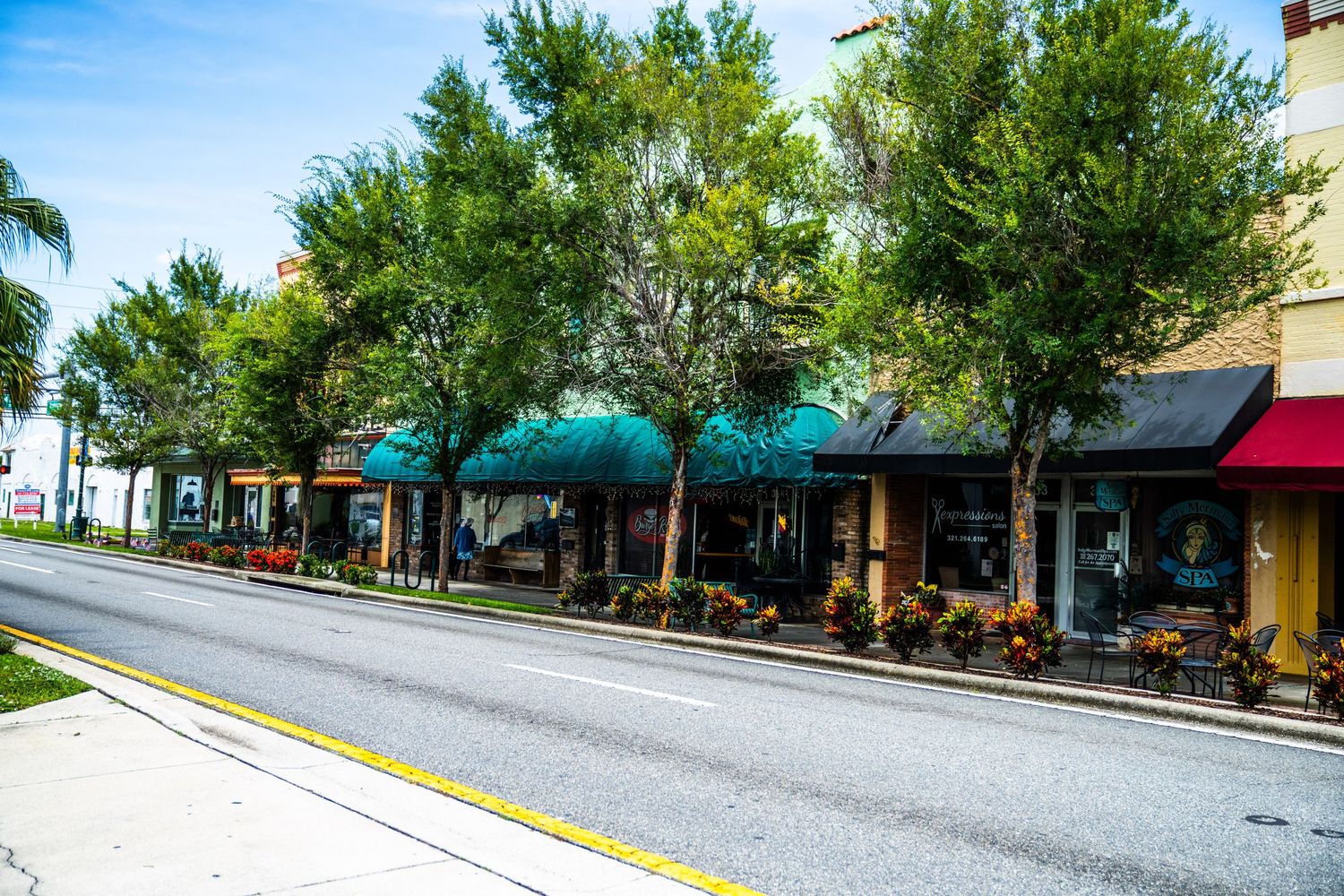 Tree-lined street with empty parking spaces and sidewalk on a cloudy day.