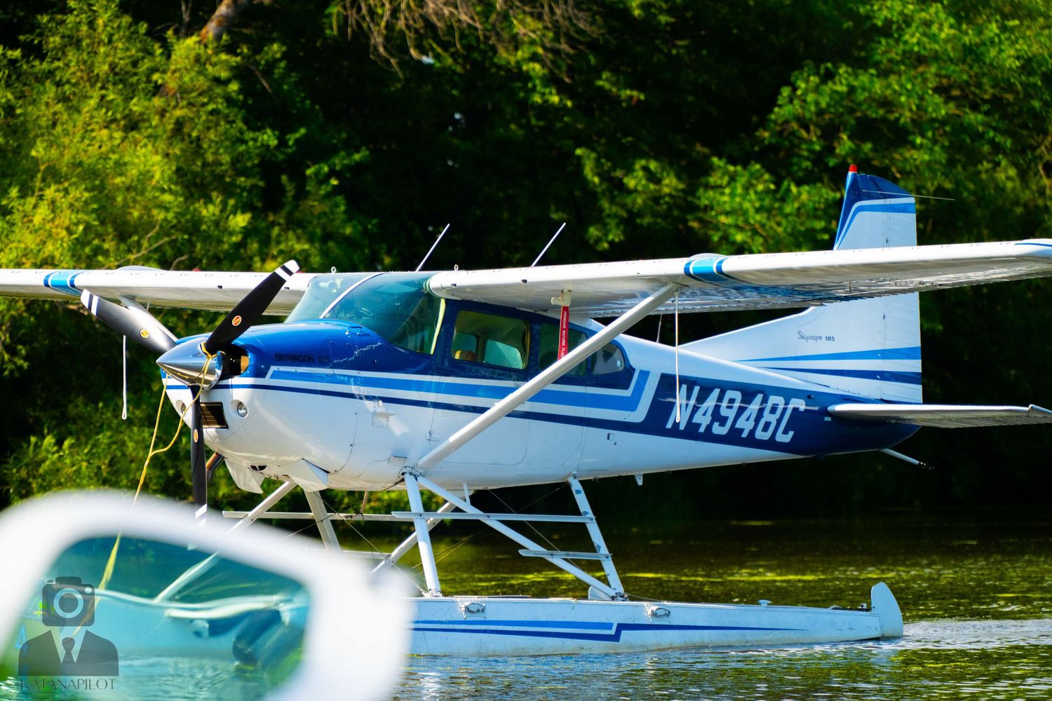 Row of blue and white seaplanes moored on calm water.