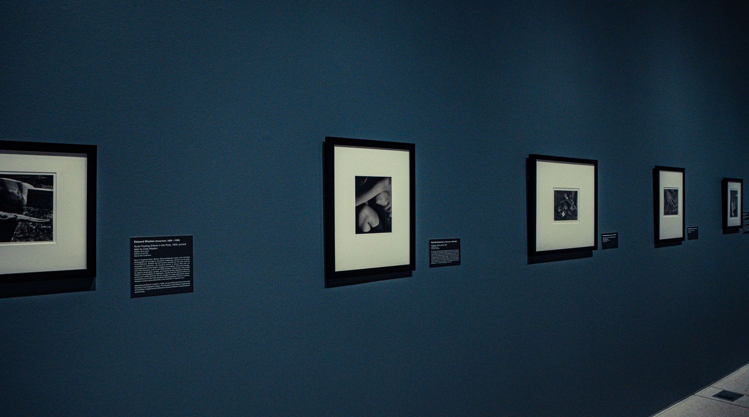 A row of black and white framed photographs hang on a dark blue gallery wall in a dimly lit exhibition space.