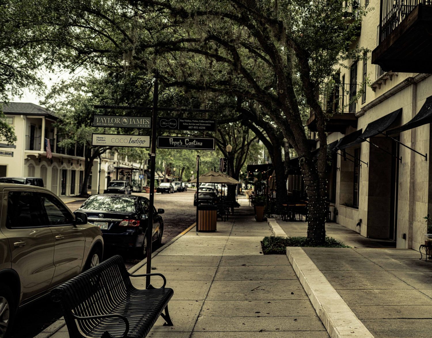 Tree-lined historic downtown street with parked cars, iron bench, brick sidewalk, and vintage archway sign in warm sepia tones.