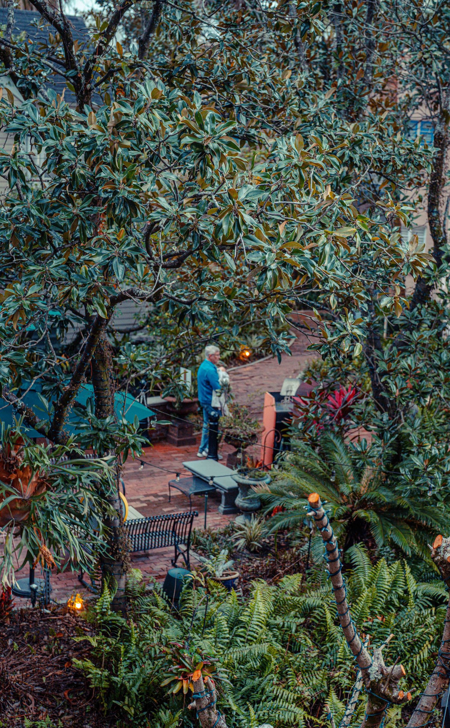 Lush garden courtyard with brick pathways, benches, and tropical foliage creating a serene outdoor seating area.