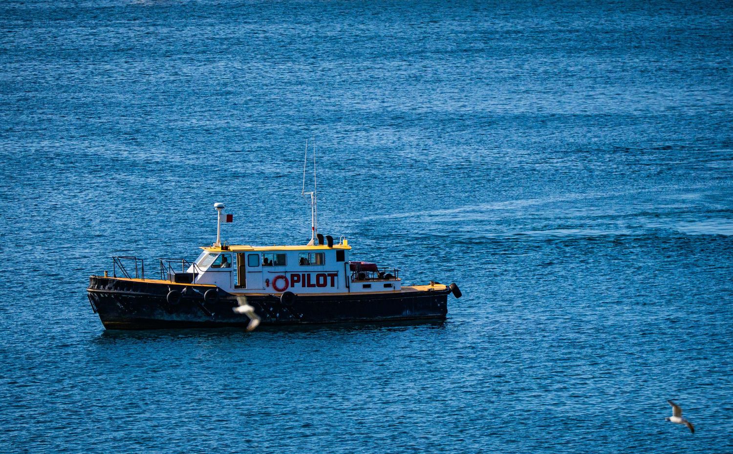 A yellow and black pilot boat cruising on calm blue ocean waters.