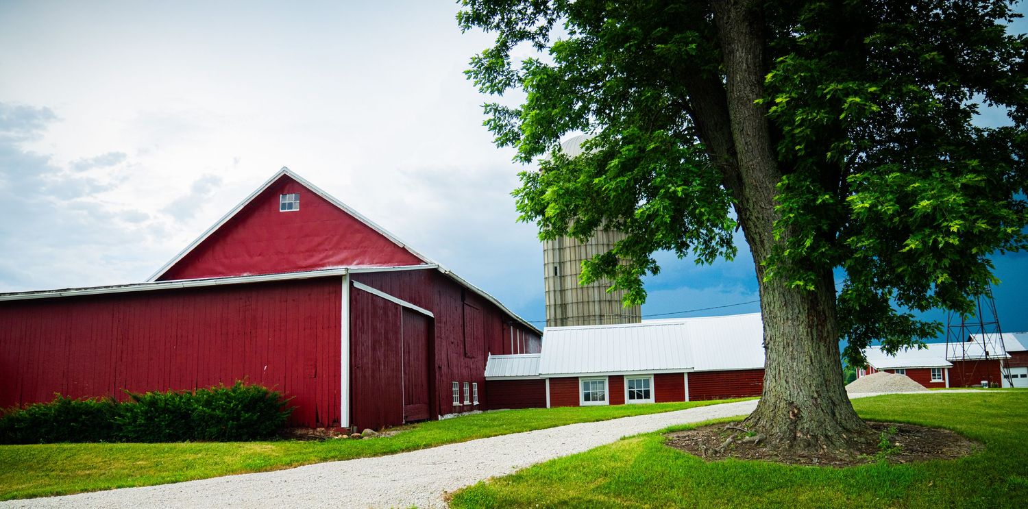 Traditional red barn buildings and silos nestled among trees in a pastoral countryside setting.