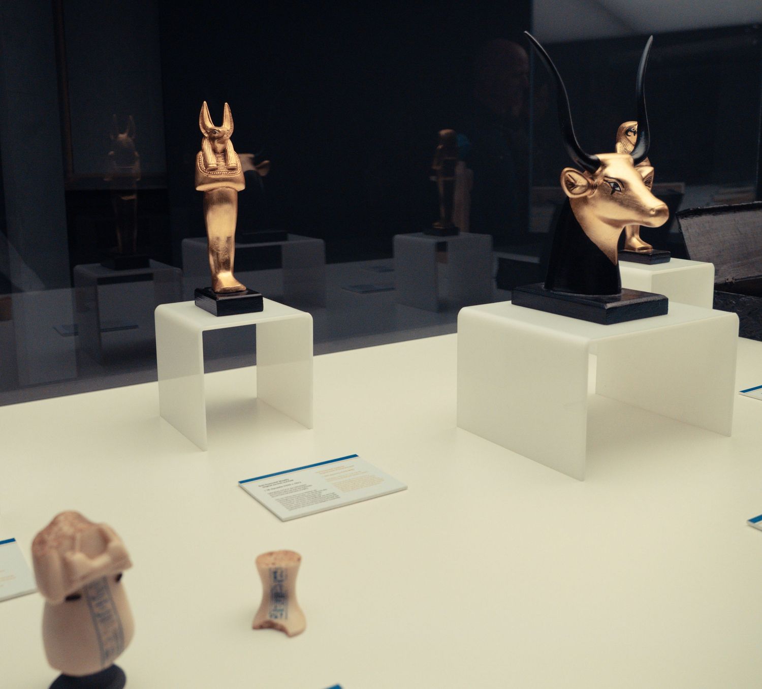 Museum display of ancient Egyptian artifacts on white pedestals.