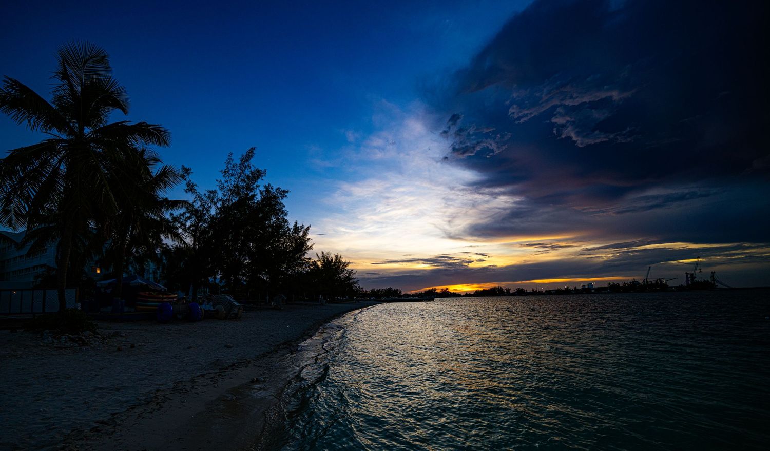 Stunning tropical beach sunset with silhouetted palm trees, dramatic blue clouds, and calm ocean waters at dusk.