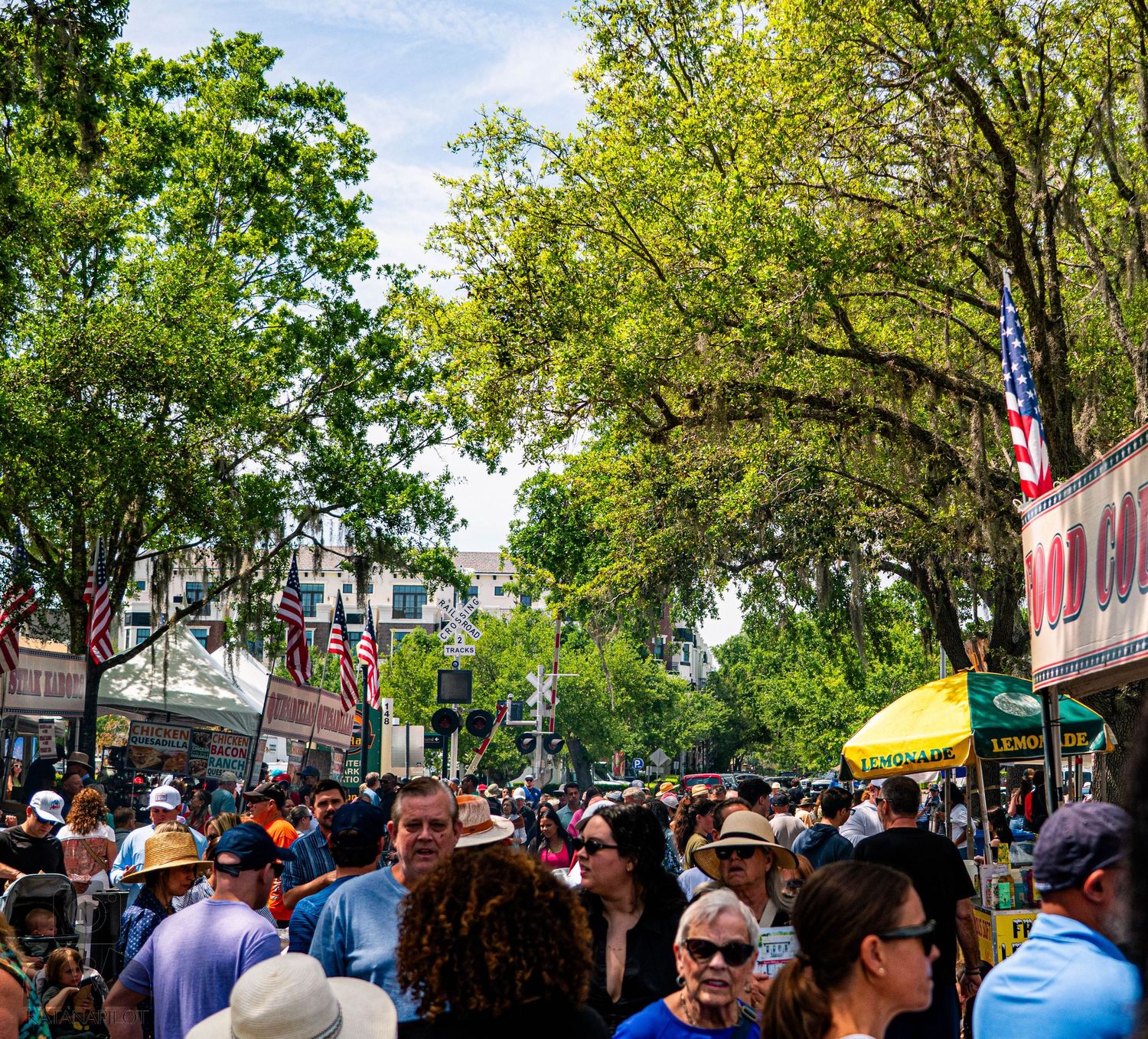 Large crowd gathering under green trees at an outdoor festival on a sunny day.