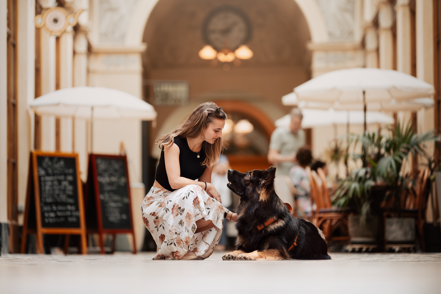 photographe chien canin, photographe lille, photographe 77, professionnels animaliers, photographie professsionnelle