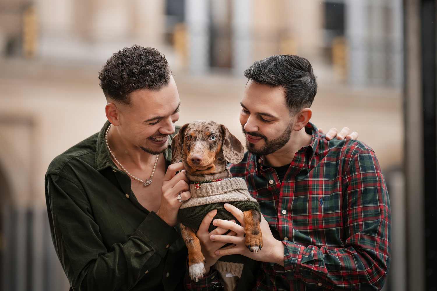 photographe chien canin, photographe lille, photographe 77 Paris, professionnels animaliers, photographie professsionnelle, teckel