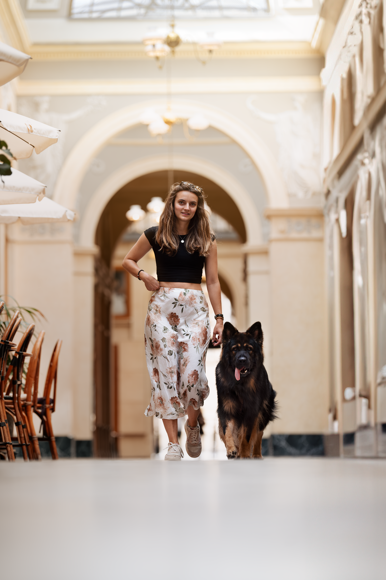 photographe chien canin, photographe lille, photographe 77, professionnels animaliers, photographie professsionnelle