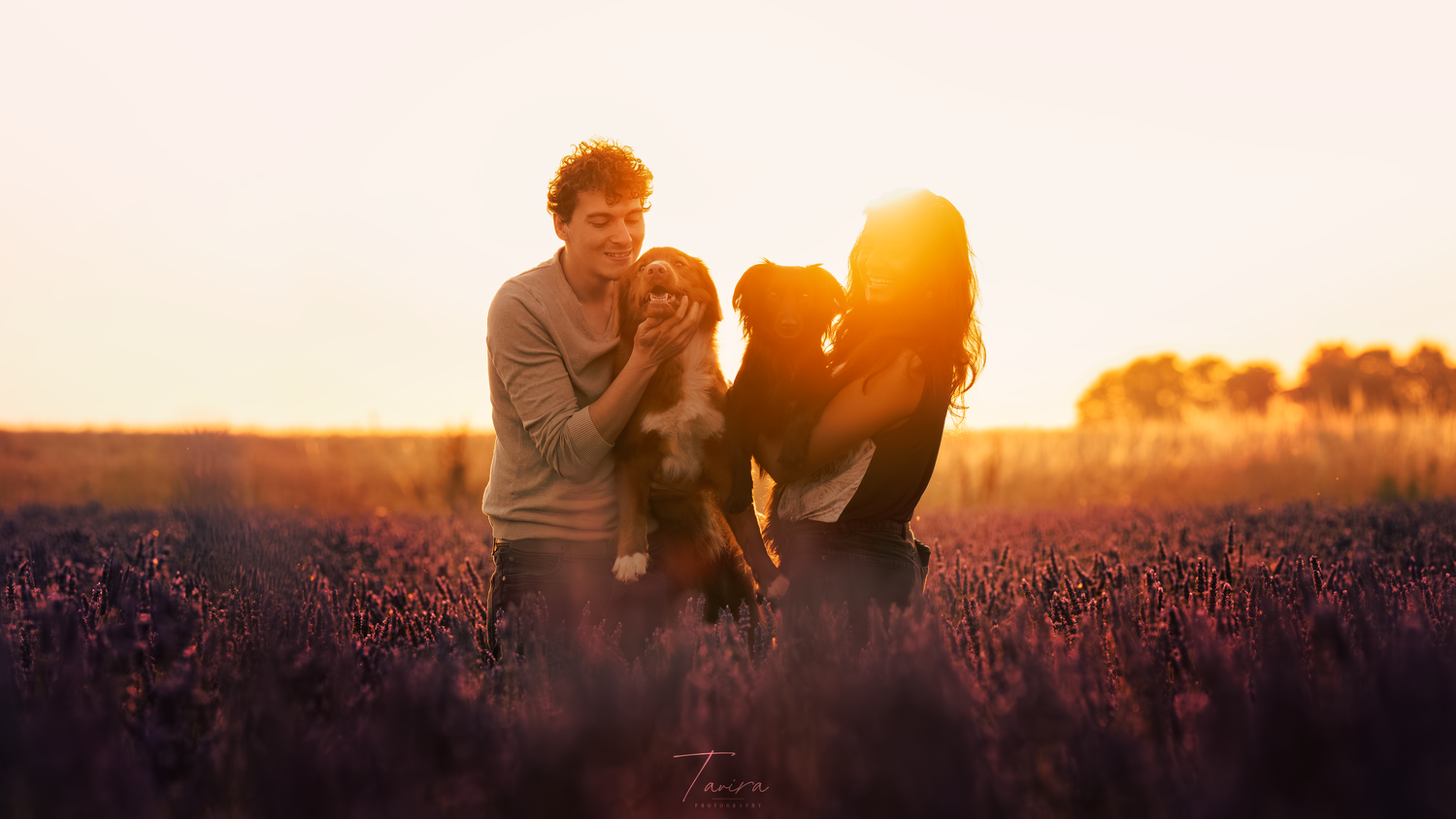 photographe chien canin, photographe lille, photographe 77, professionnels animaliers, photographie professsionnelle