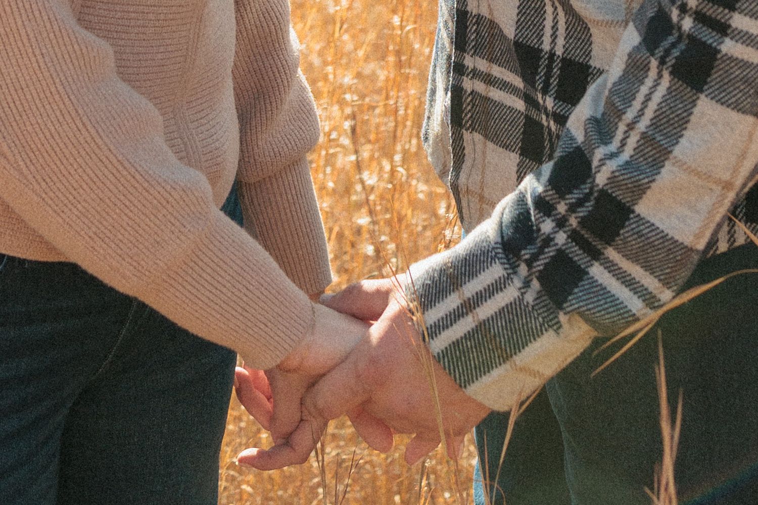 A hand wearing a plaid flannel shirt reaches out to touch golden wheat stalks in a sunlit field.
