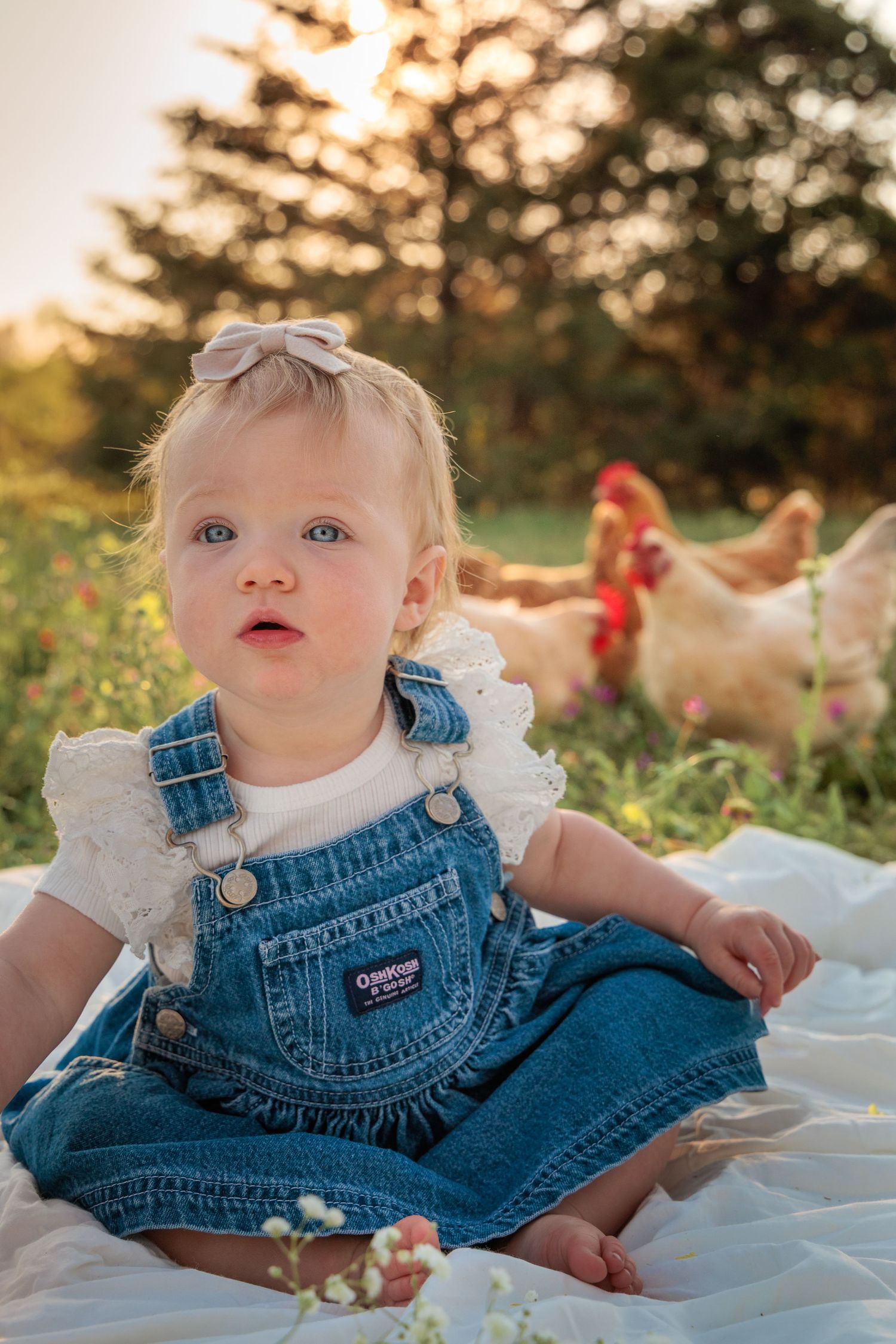 A baby in denim overalls sits on a white blanket in a sunny field while chickens roam in the background.
