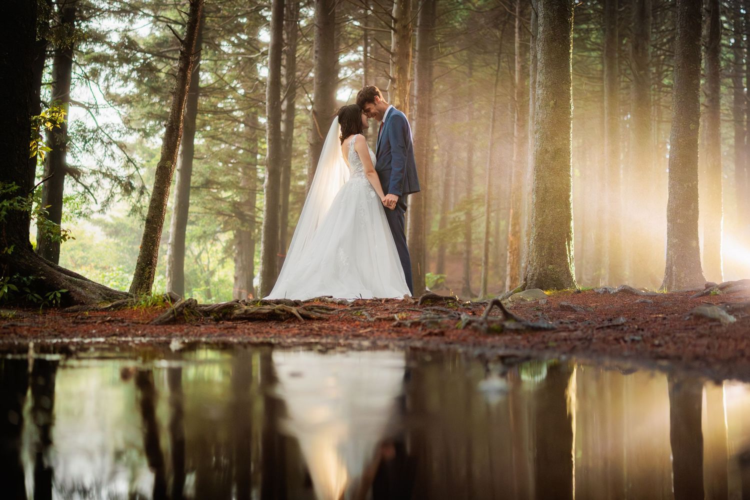 A romantic wedding couple stands beside a reflective forest pond at sunset with sunbeams filtering through tall trees.
