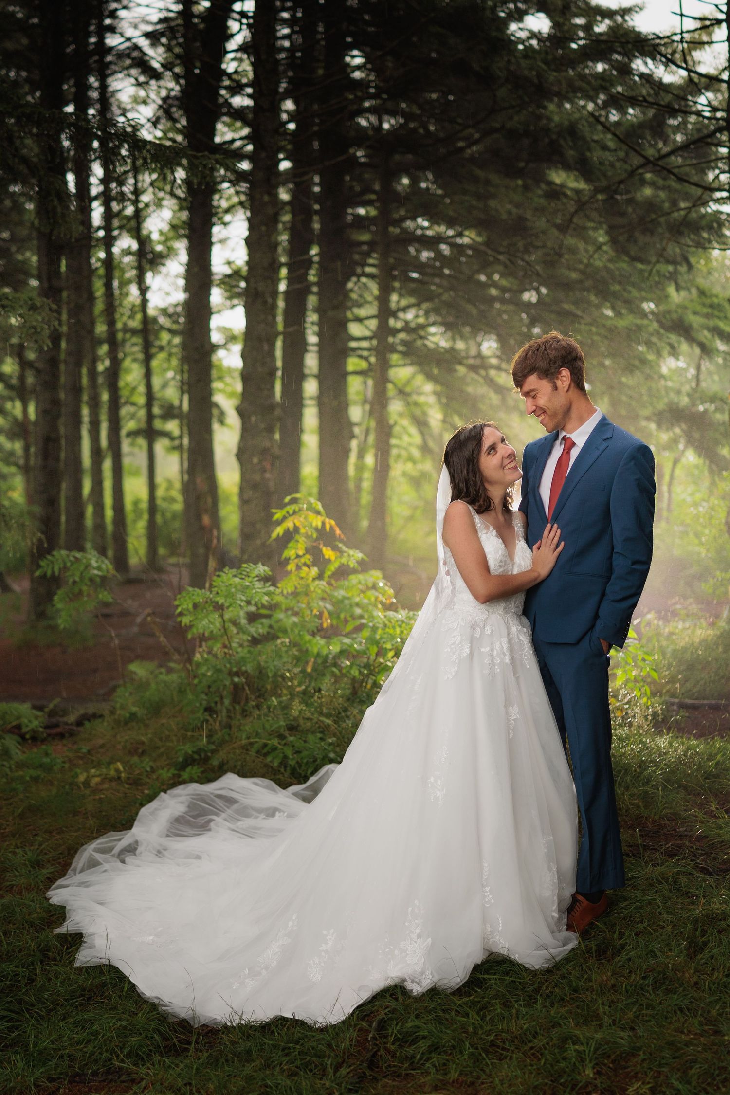 A romantic wedding couple shares intimate moments in a misty forest setting with sunlight filtering through the trees.
