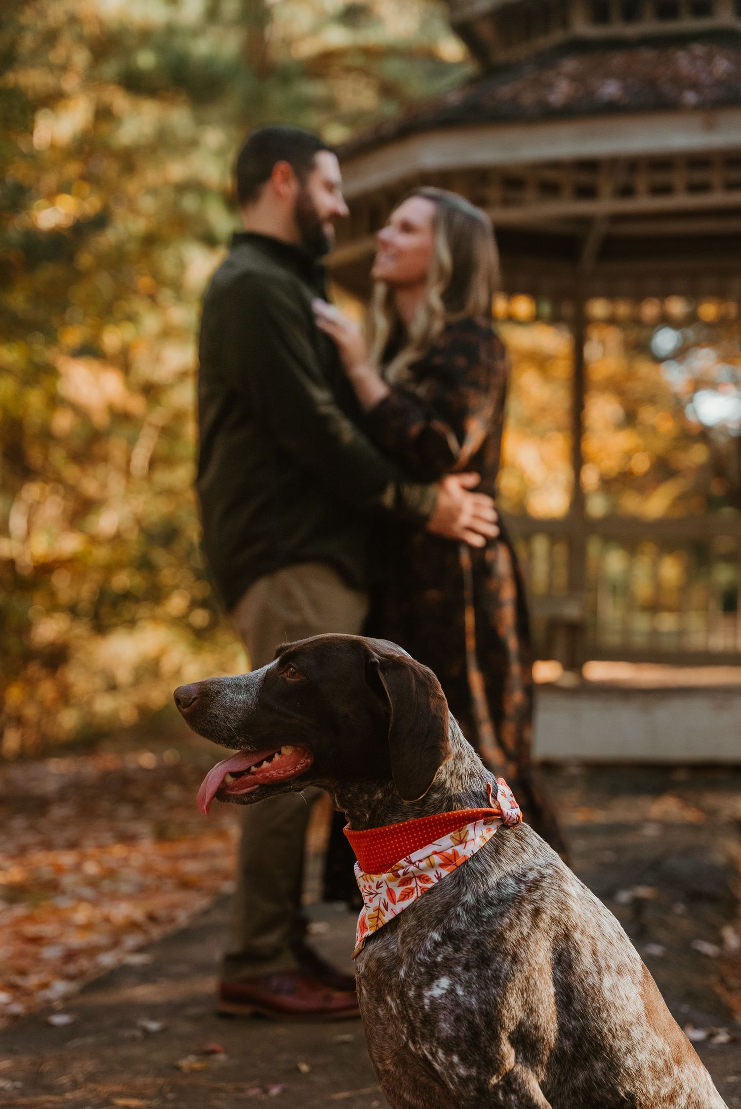 Happy couple embracing near a gazebo with their German Shorthaired Pointer dog in the foreground.