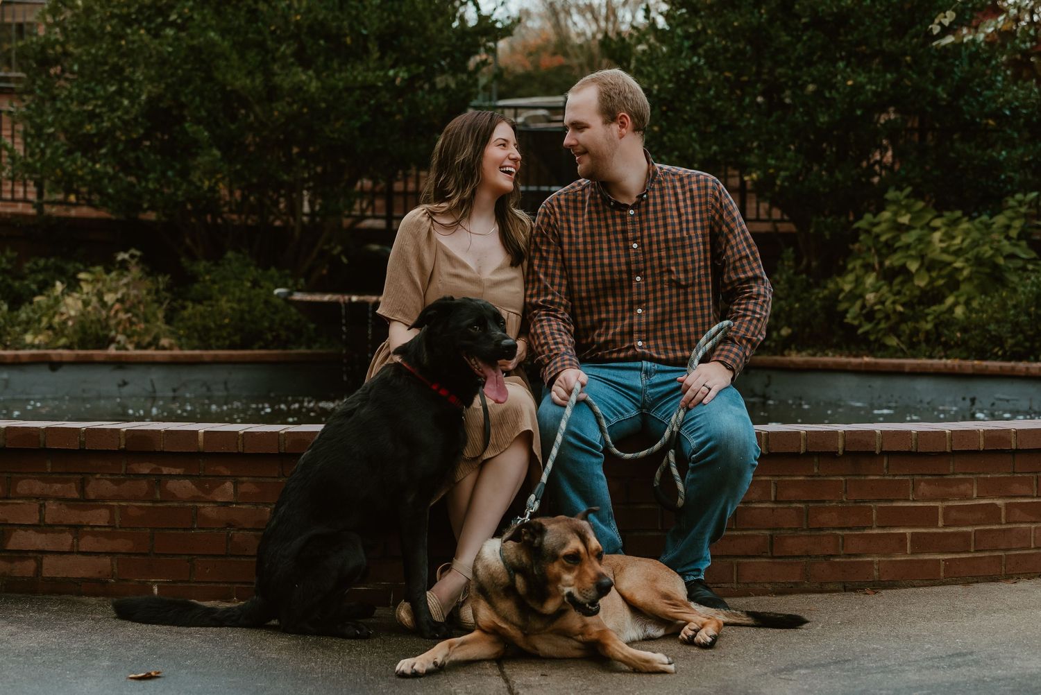 A smiling couple sits on a brick ledge with their two dogs in an outdoor urban setting.