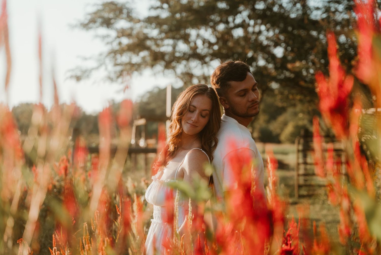 Romantic couple standing back to back in a vibrant red wildflower field at golden hour.