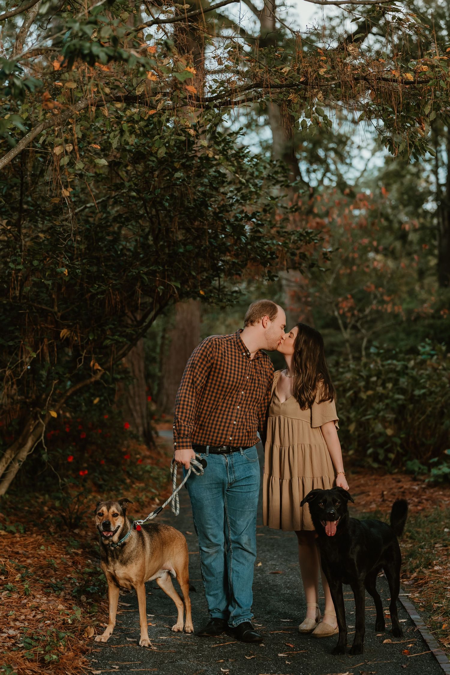 A couple shares a kiss on a leaf-covered path while holding leashes of two dogs in autumn.