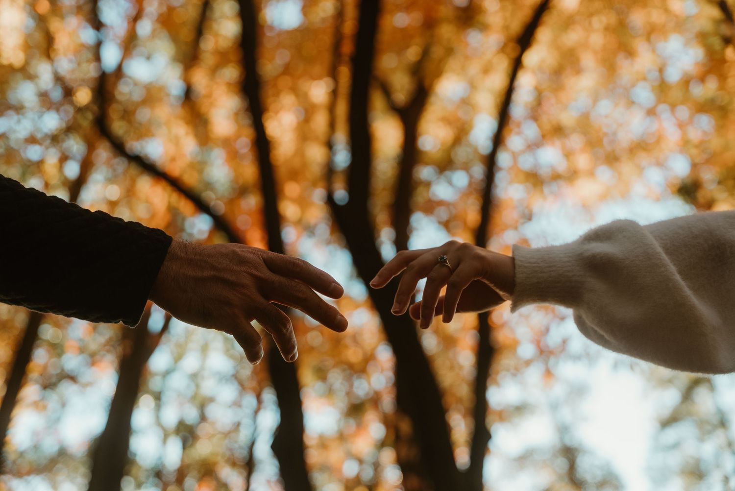 Two people reaching toward each other with fingertips against vibrant autumn foliage background.