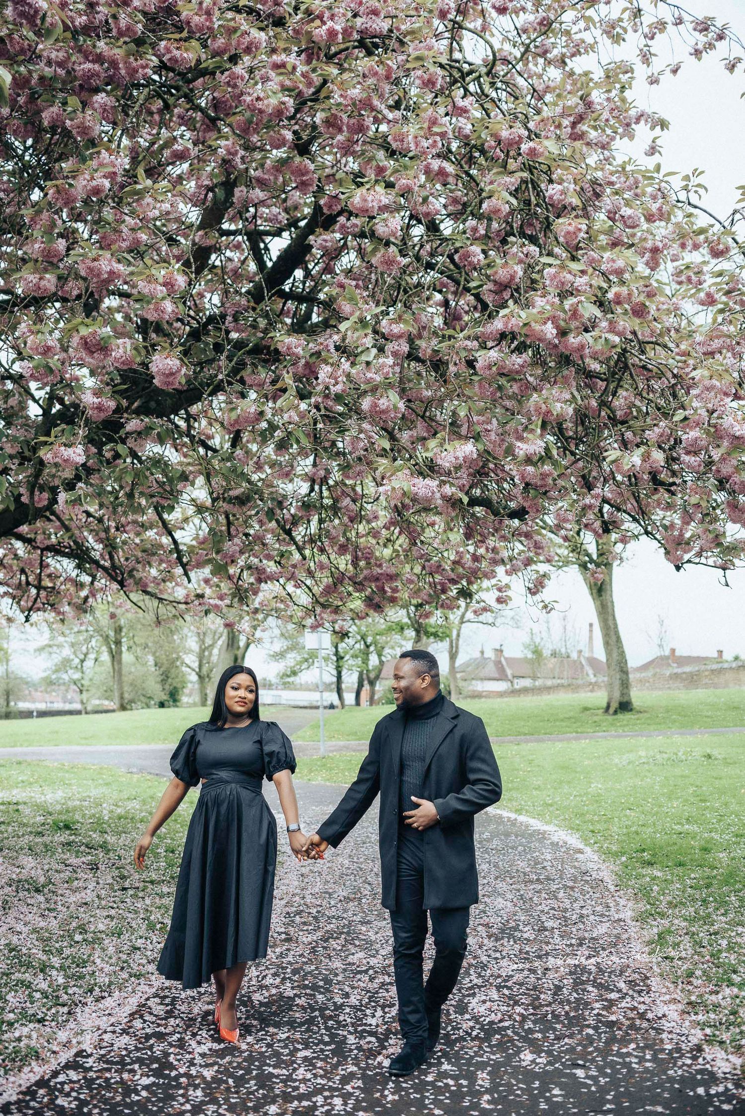 Couple walking hand in hand under blooming cherry trees in spring.