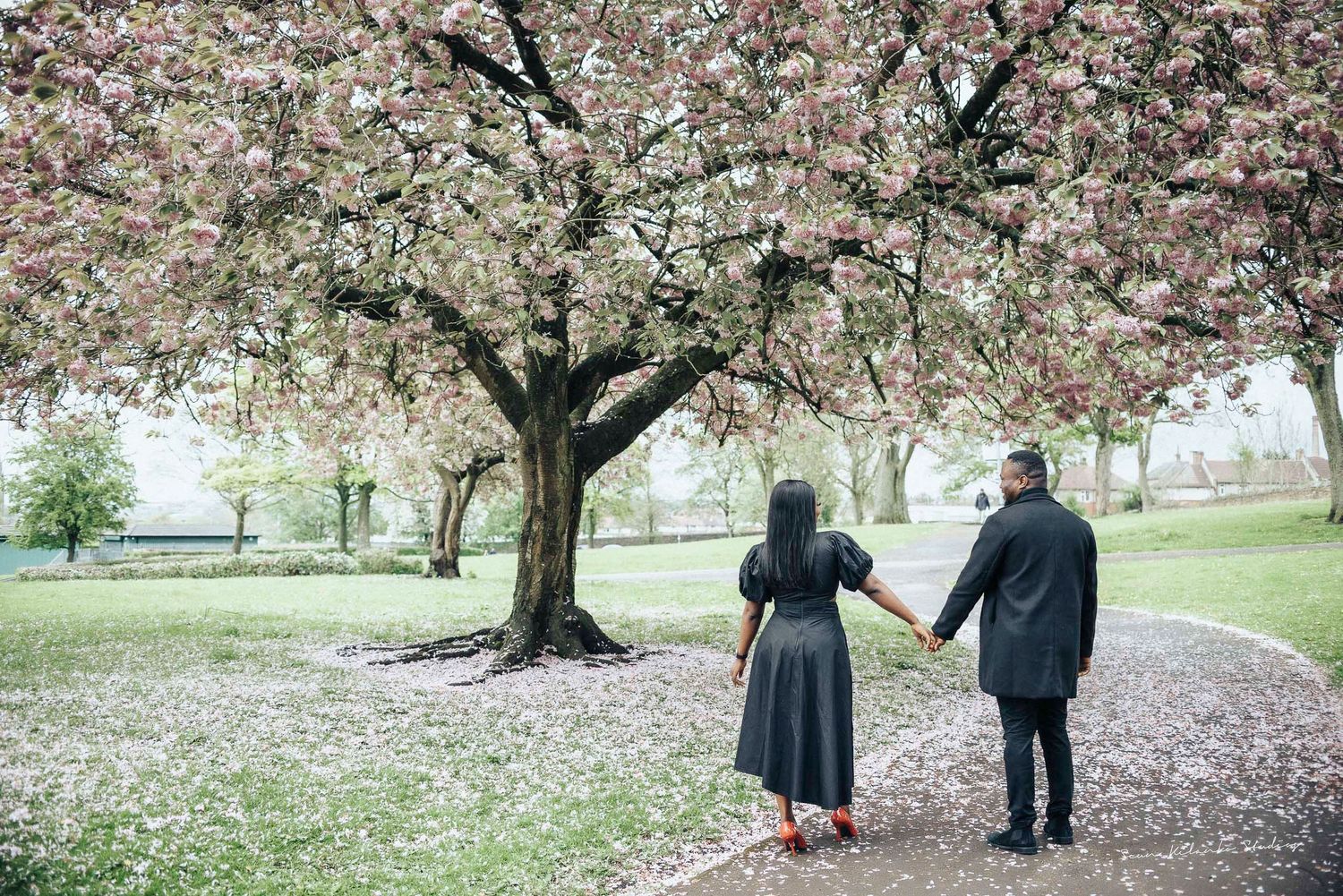 Couple holding hands under blooming cherry tree in park setting.