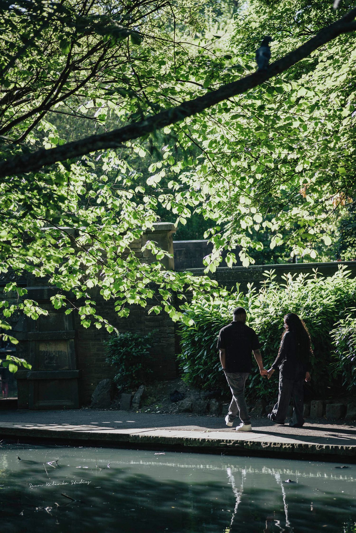 Silhouetted couple walking hand in hand near pool with green canopy overhead.