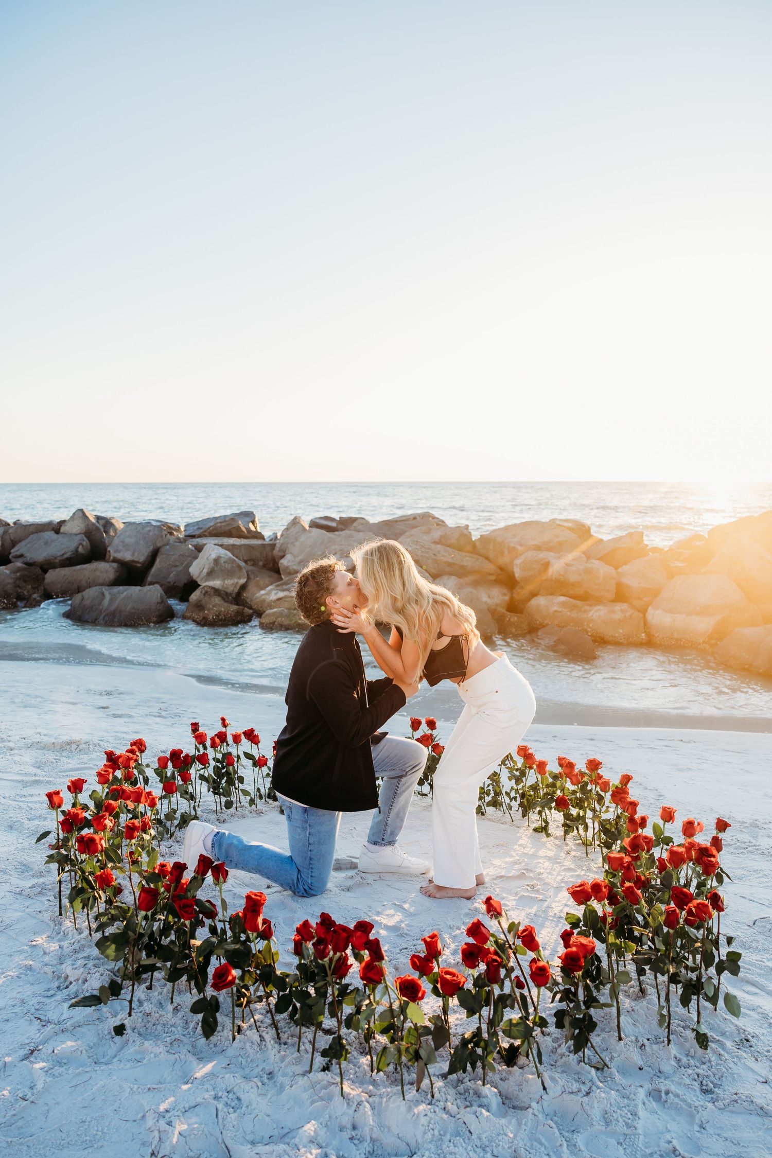 proposal clearwater st Pete
