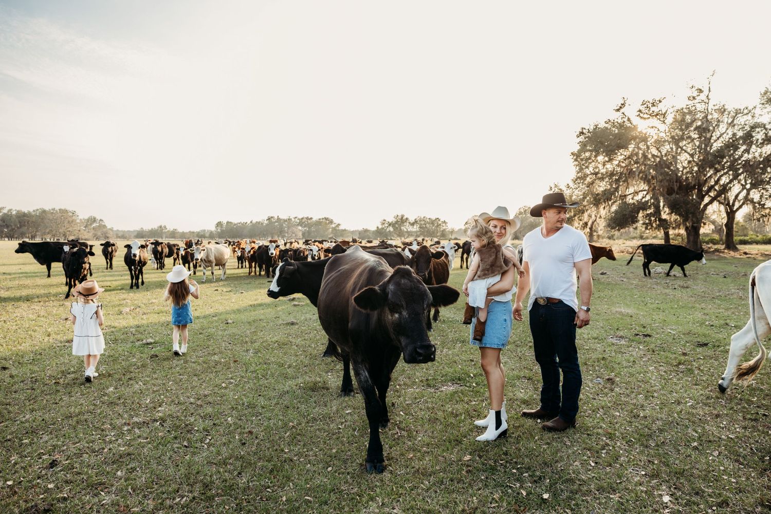 Spring Hill FL , family, cows