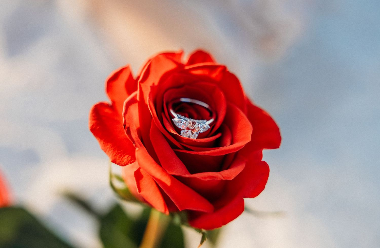 Ring shot proposal
