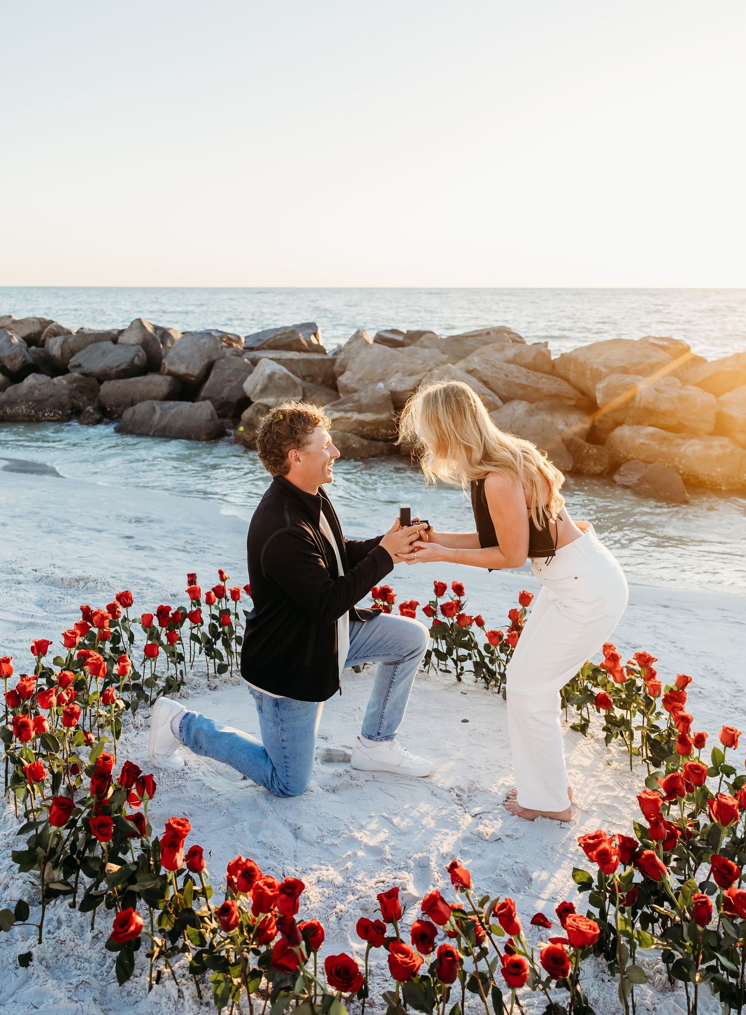 proposal , ideas, poses, roses