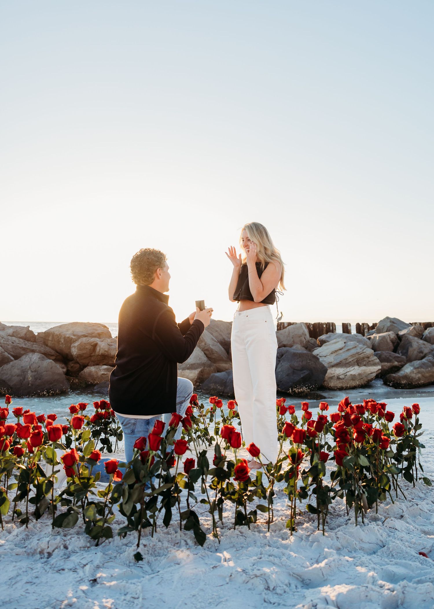 poroposal ,ideas, roses