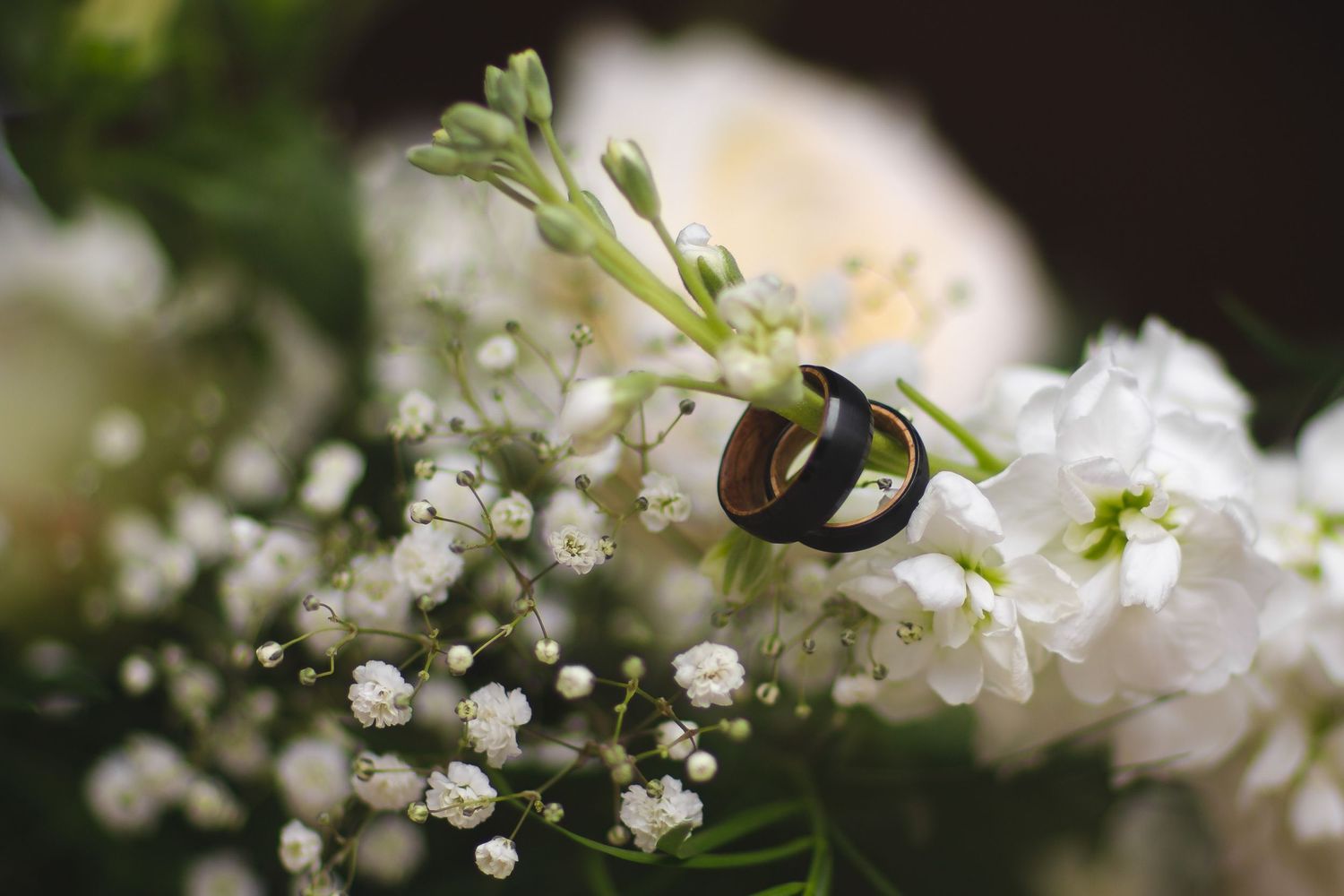 Two gold and black wedding bands resting on white baby's breath and freesia flower bouquet.