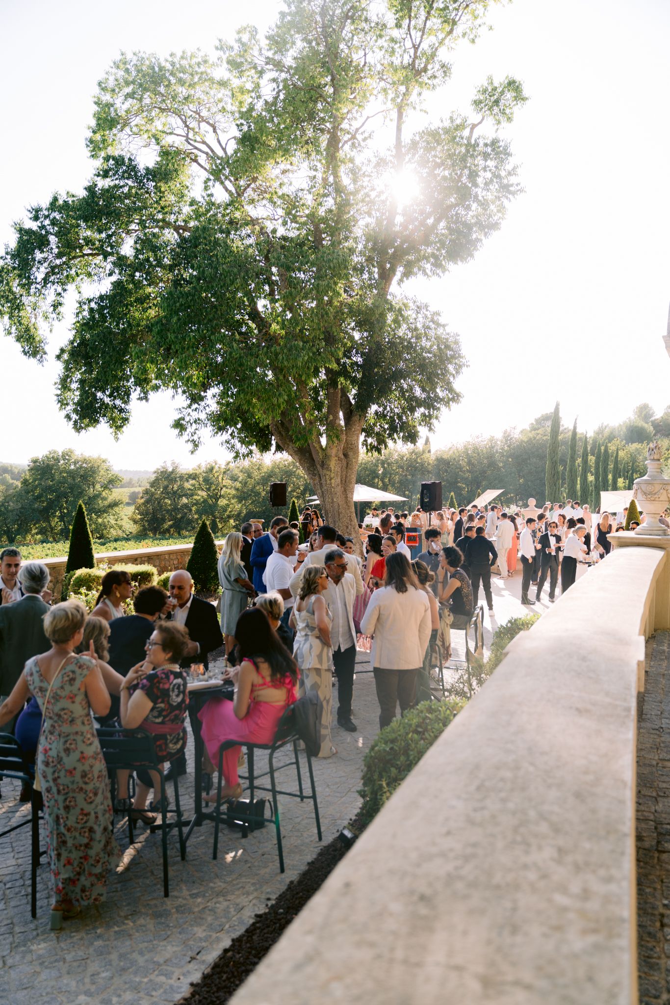 Guests seated in rows at an outdoor wedding ceremony with sunlight filtering through trees along a white aisle runner.