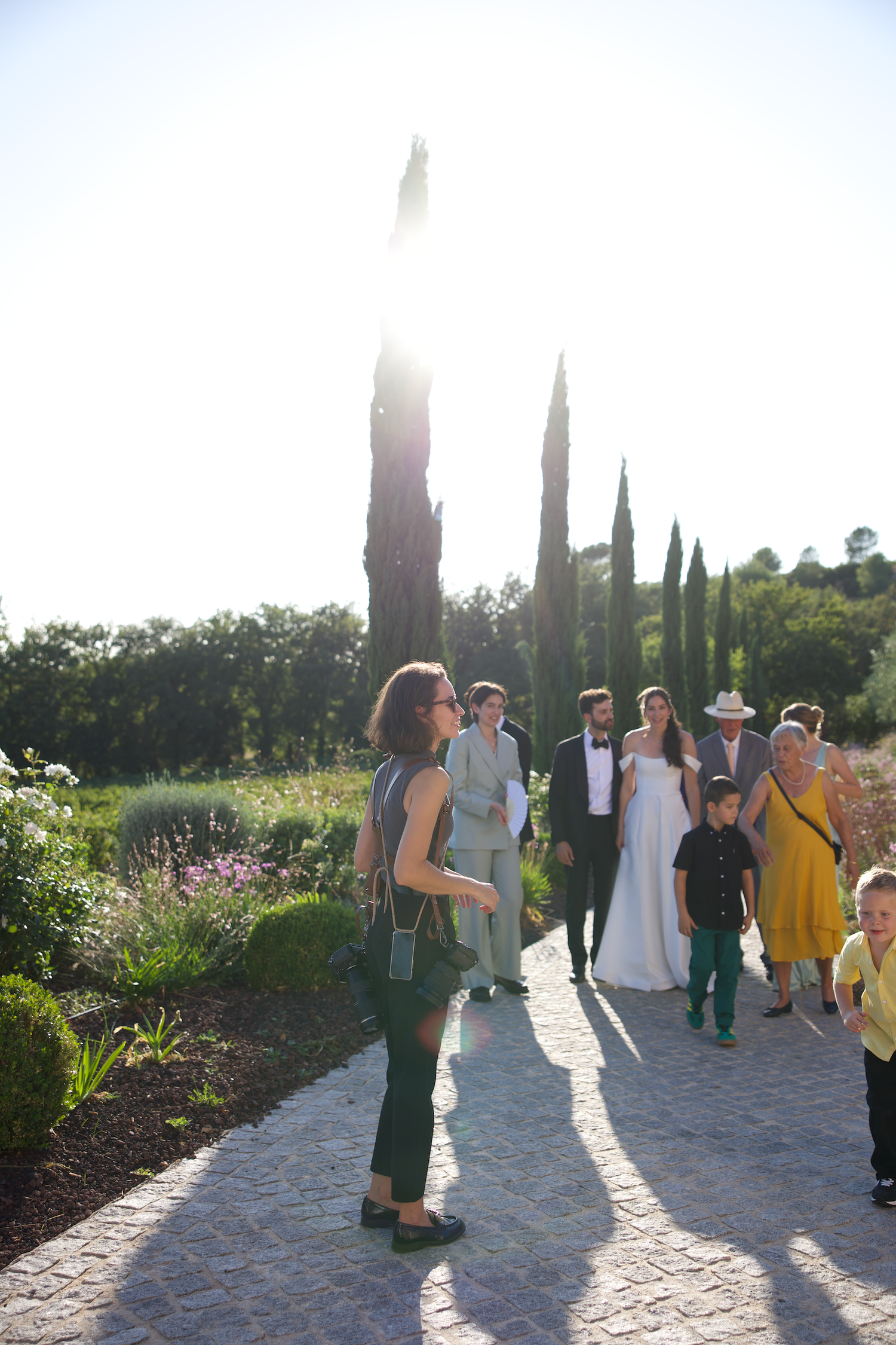 Wedding party walking along a garden path lined with cypress trees in golden sunlight.
