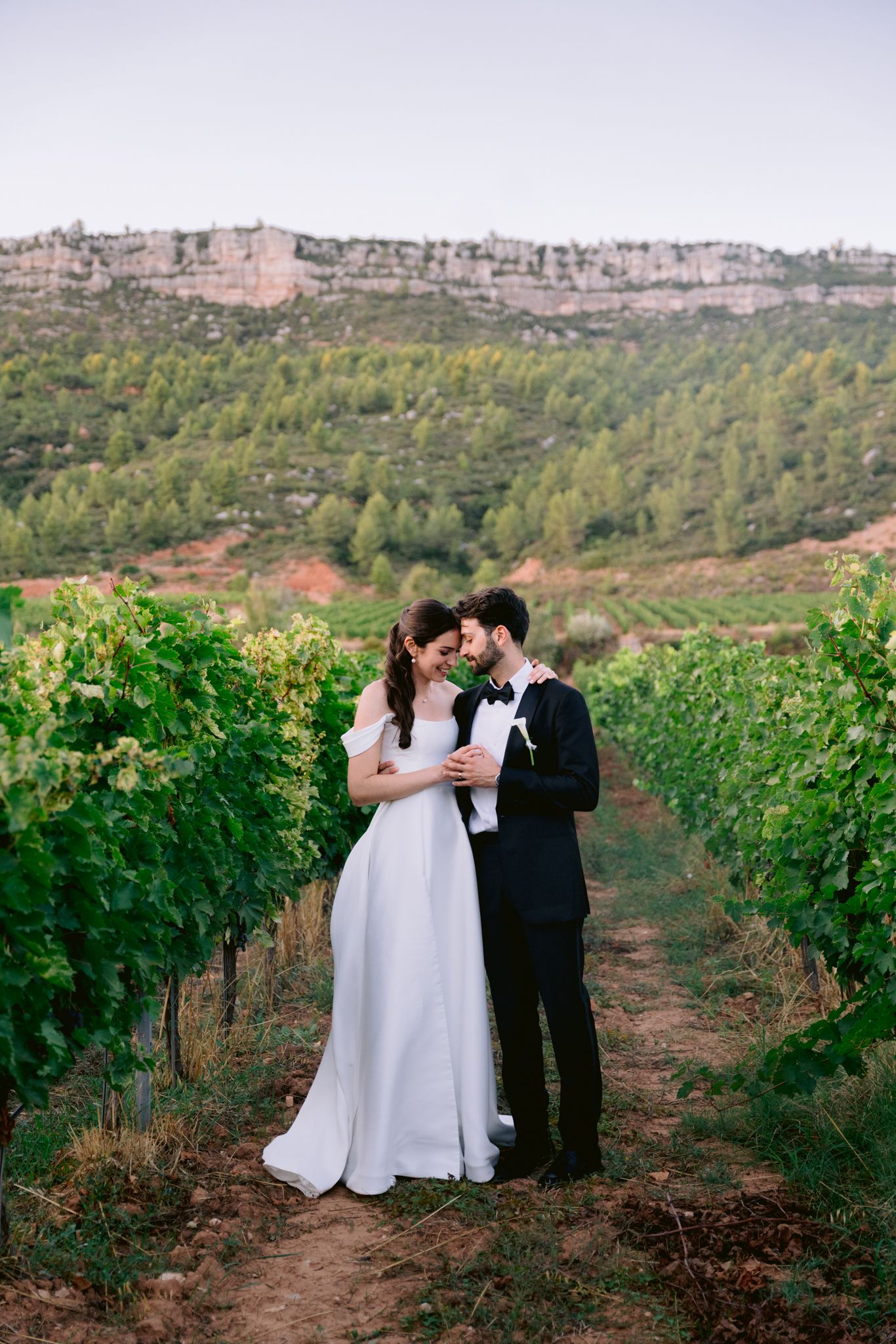 Newlywed couple shares romantic moments in a scenic vineyard with mountains in the background at sunset.