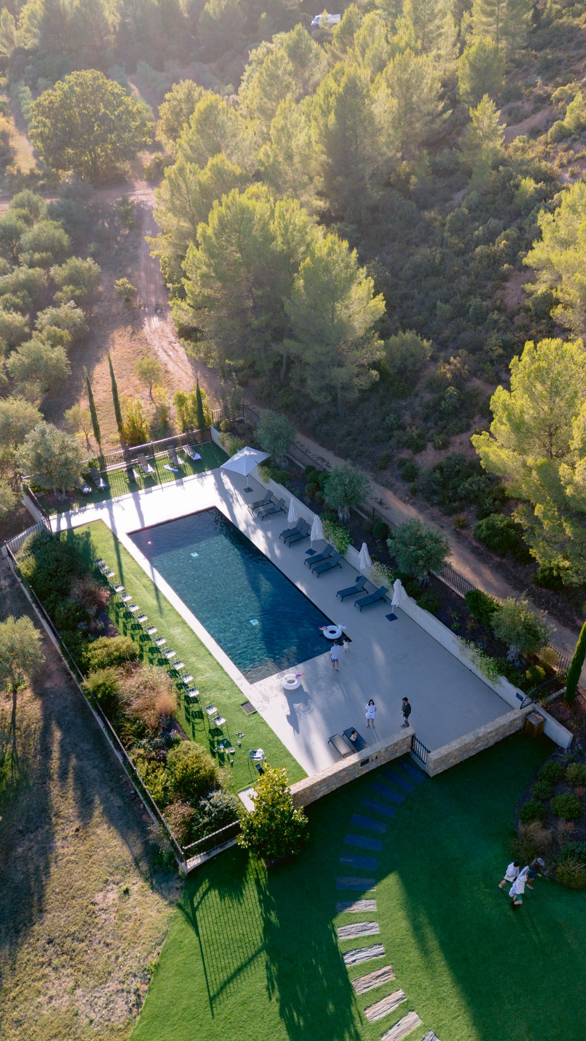 Aerial view of a modern swimming pool surrounded by lush green lawn and pine trees in a luxury backyard setting.