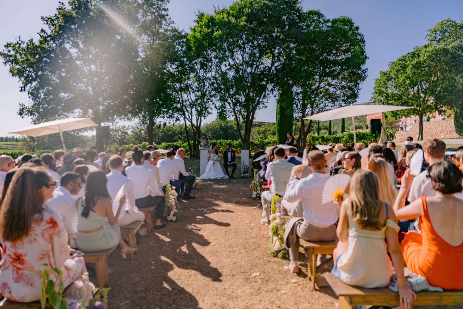 A large crowd of people gathered outdoors on a sunny day with trees visible in the background.