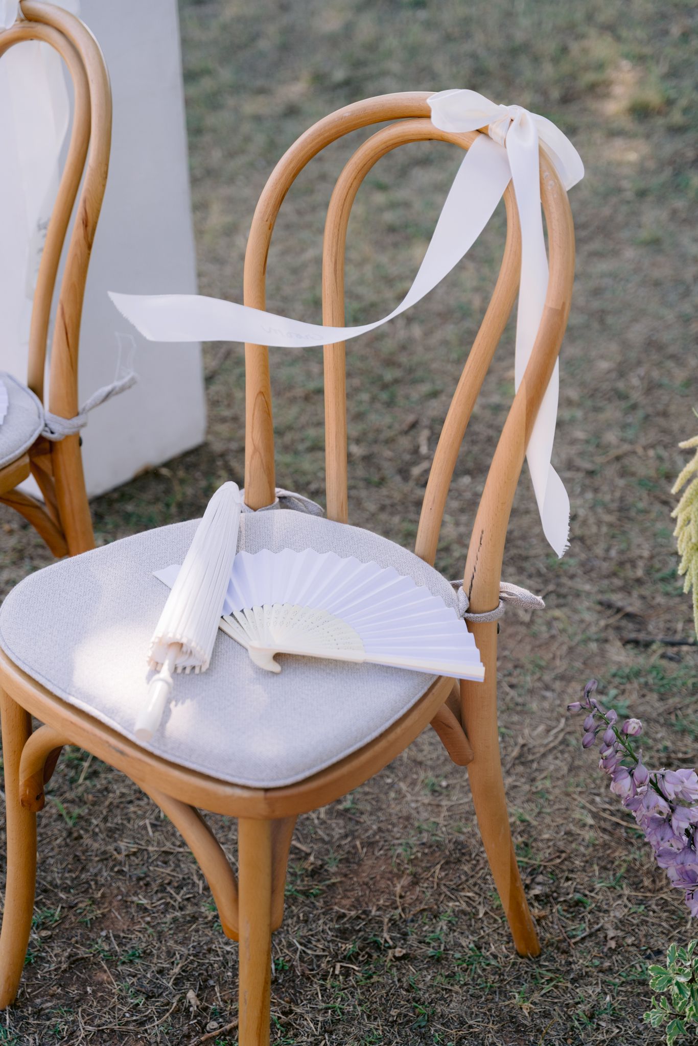 Wooden bentwood chairs with white fabric bows tied on the backs arranged in a row outdoors.