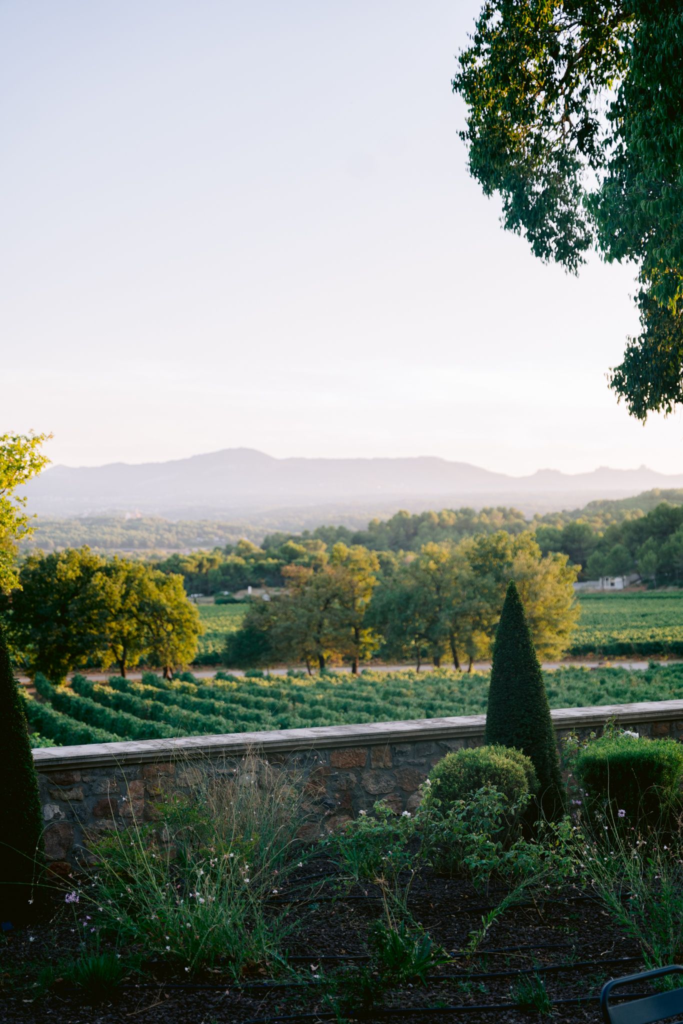 Scenic mountain landscape view through multiple frames showing rolling hills, vineyards and trees at sunset.