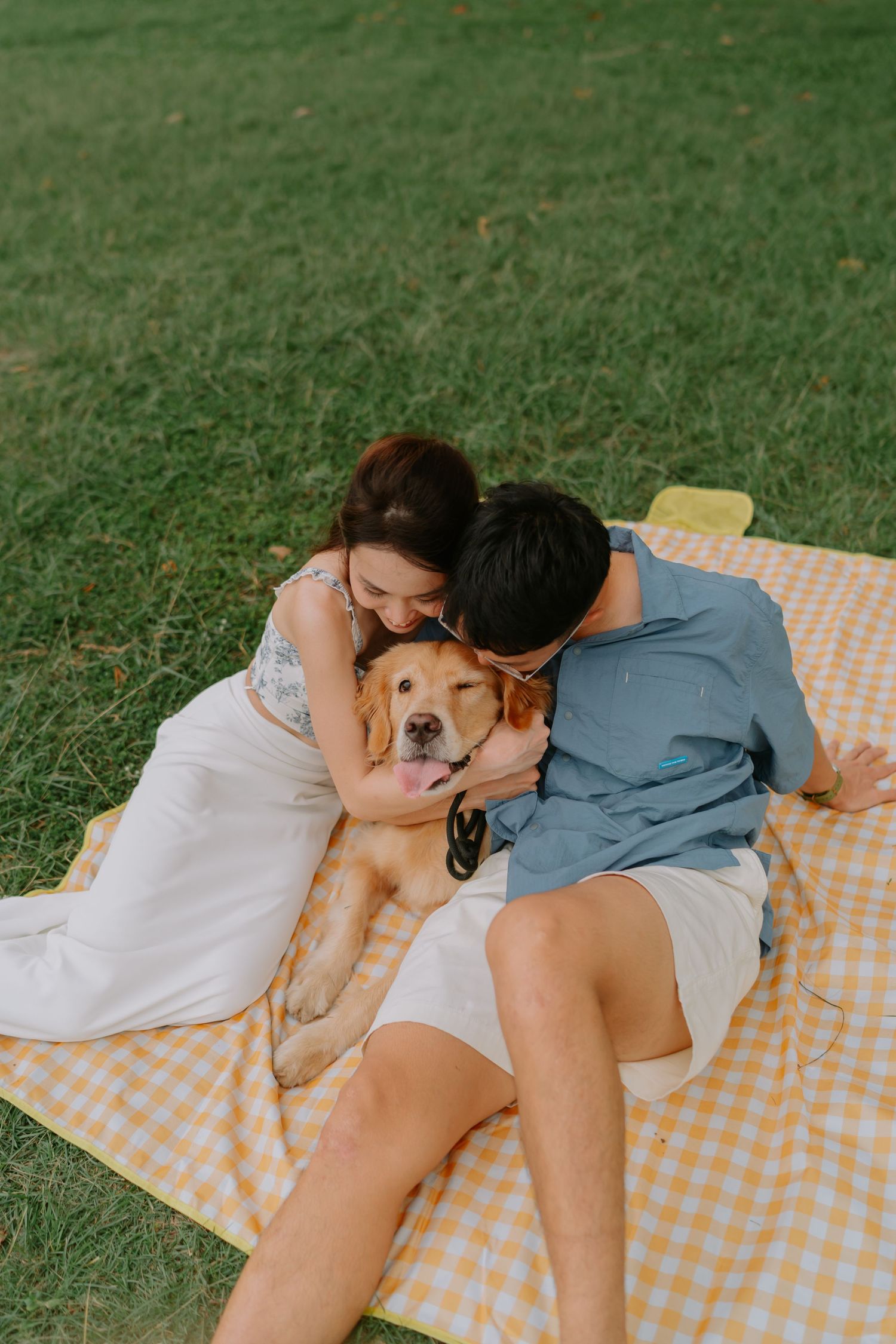 Couple sitting on checkered blanket hugging golden retriever dog on grassy lawn.
